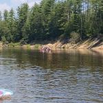 Swan's Falls Campground and Canoe Access