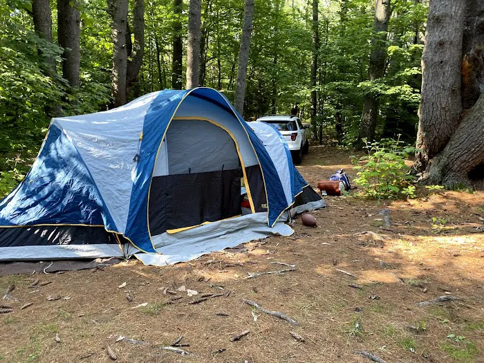 Swan's Falls Campground and Canoe Access Picture 7