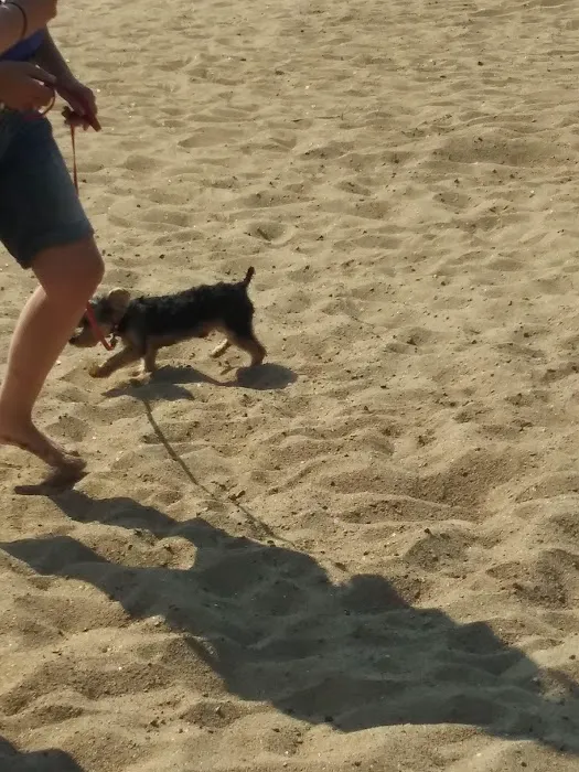 Canal Bridge Campground Picture 5