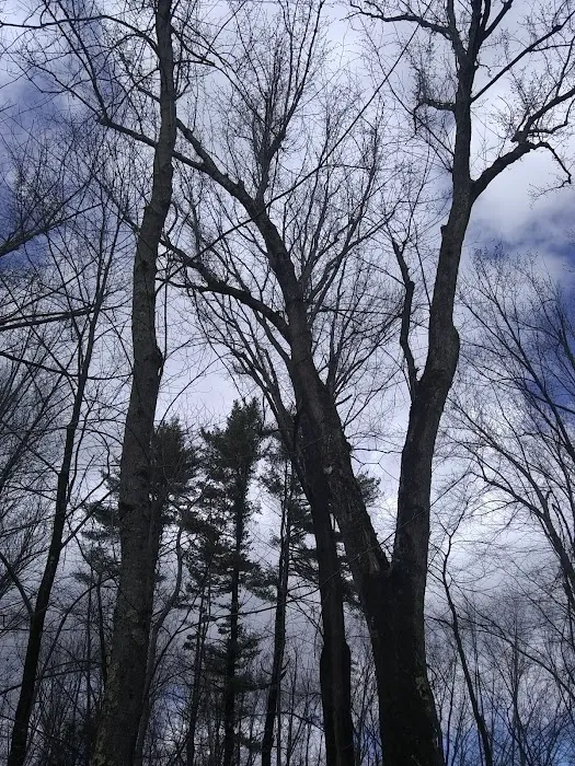 Canal Bridge Campground Picture 6