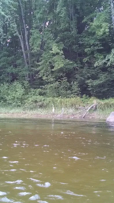 Fiddlehead Campground Picture 4