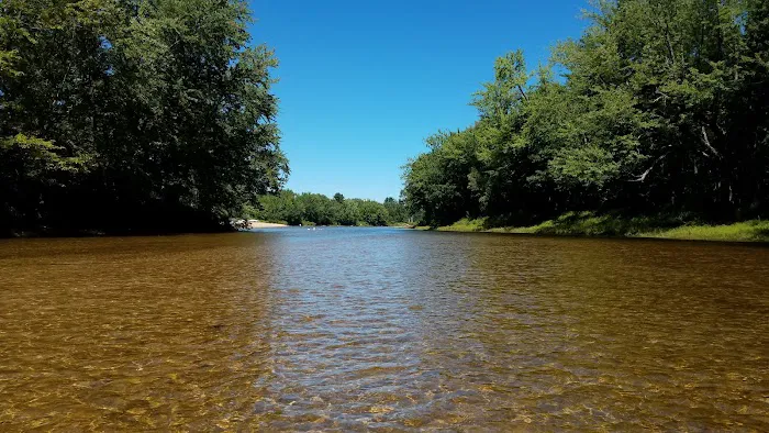 Fiddlehead Campground Picture 2