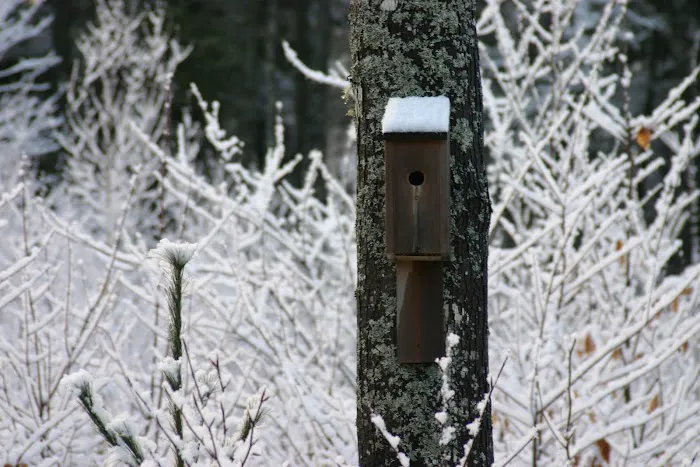 Mt. Tom Cabin Picture 5