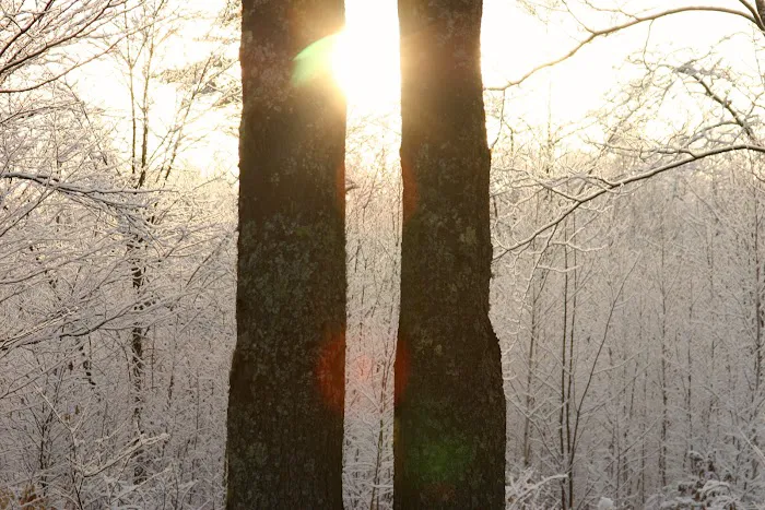 Mt. Tom Cabin Picture 6