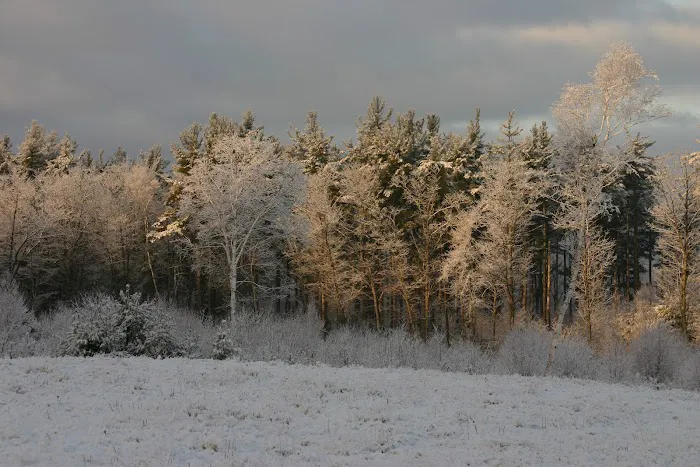 Mt. Tom Cabin Picture 7