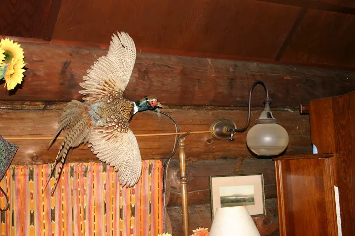 Mt. Tom Cabin Picture 9