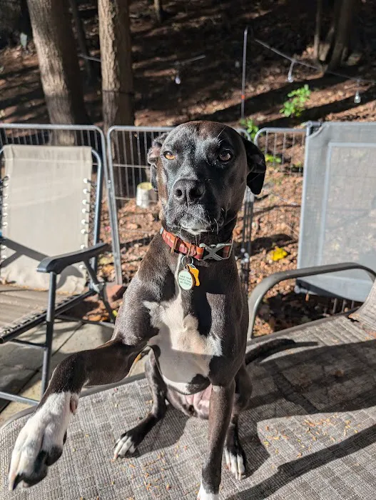 Ne're Beach Family Campground Picture 5