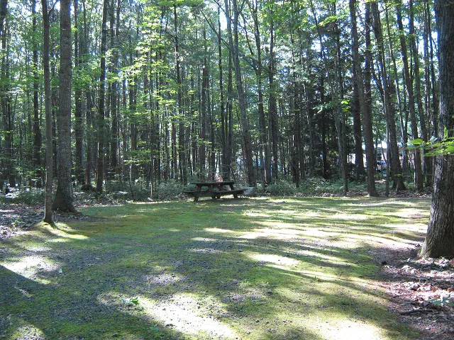 Cascadia Park Picture 3