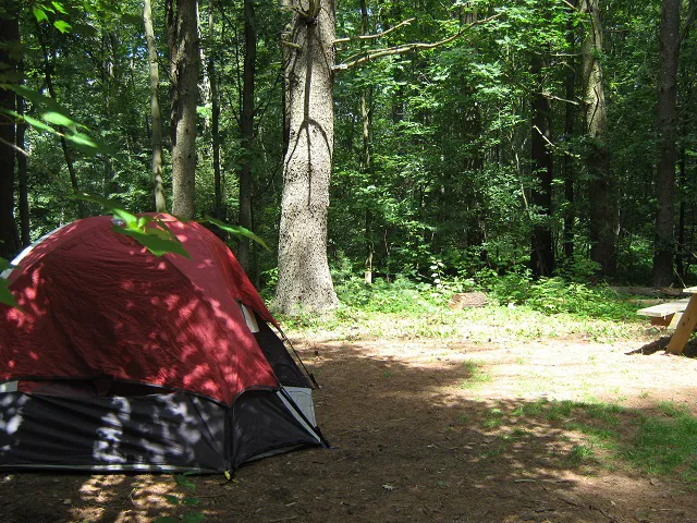 Cascadia Park Picture 9
