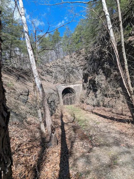 Group Campsite G-6 Picture 9