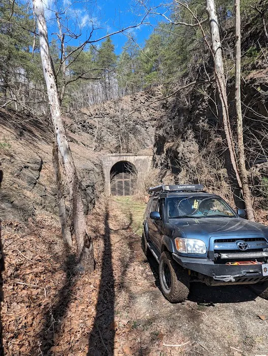 Group Campsite G-6 Picture 8