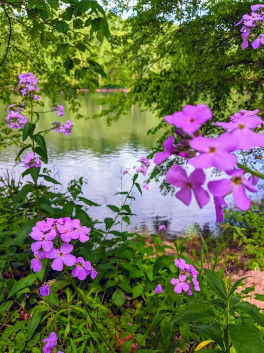 Sorrel Ridge Campground Picture 3