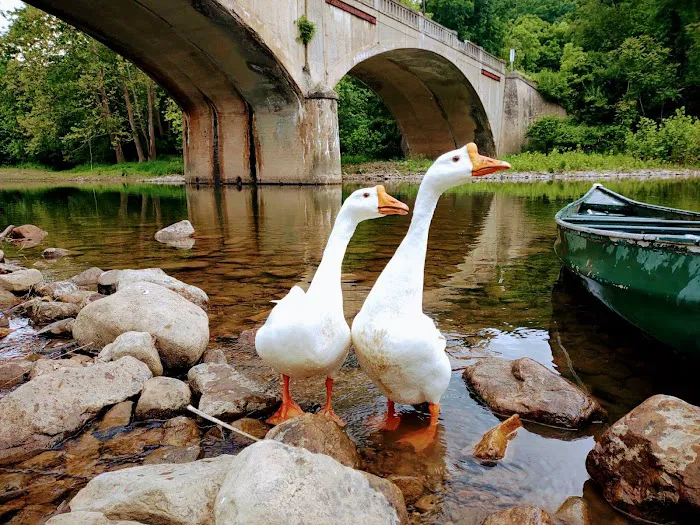 Stoney Creek Campground Picture 9