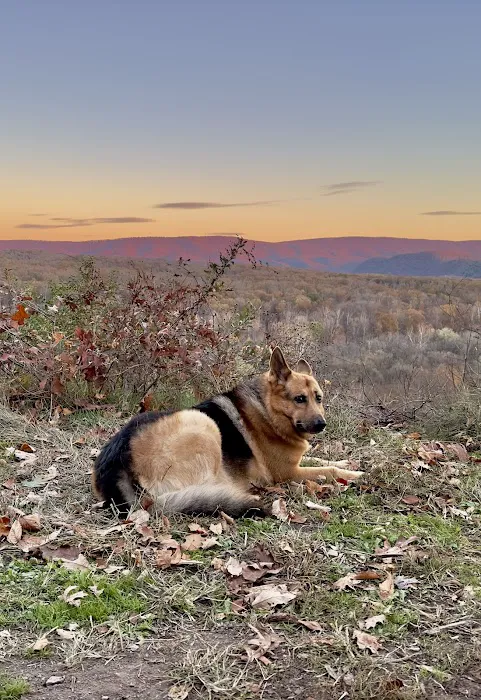 Green Ridge Site 65 Picture 1