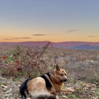 Green Ridge Site 65 ico