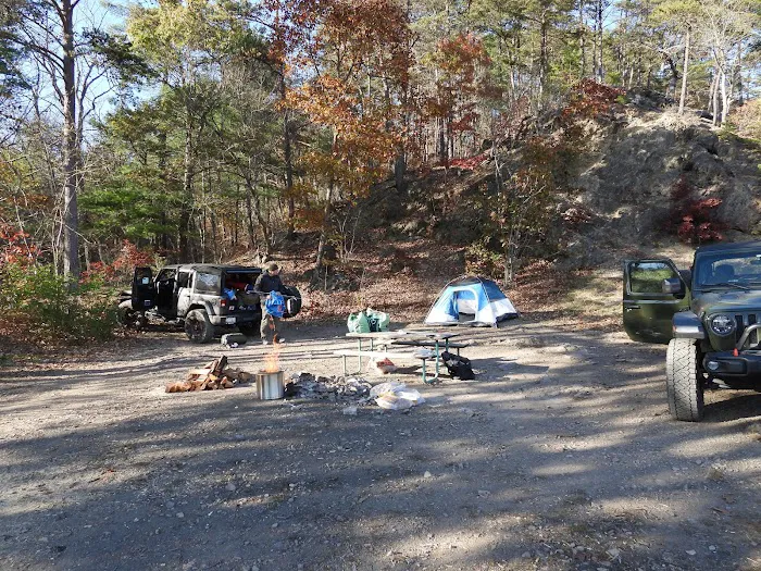 Green Ridge Site 65 Picture 4