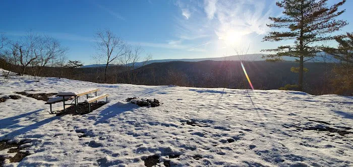 Green Ridge Site 65 Picture 8