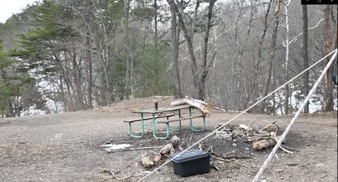 Green Ridge Site 65 Picture 3