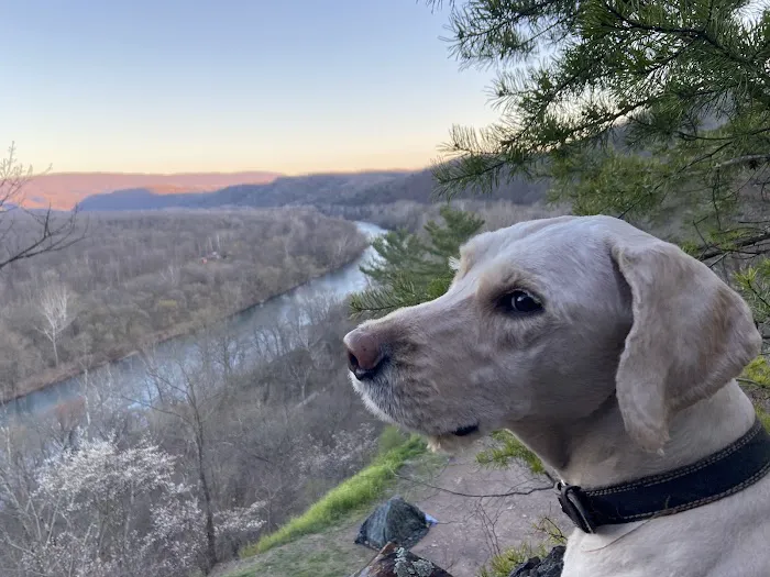 Green Ridge Site 65 Picture 7