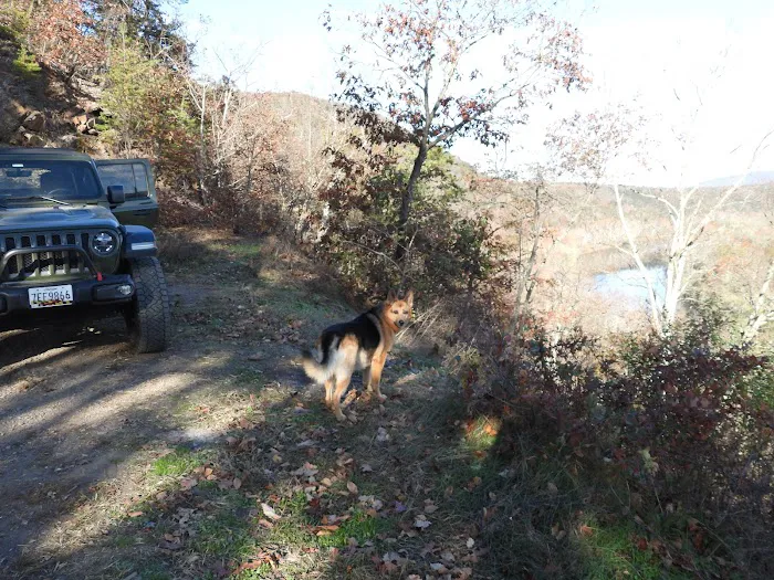 Green Ridge Site 65 Picture 9