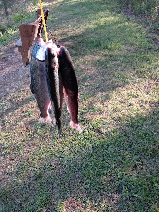 Group Campsite G-1 Picture 3