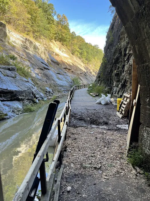 Paw Paw Tunnel Campground Picture 1