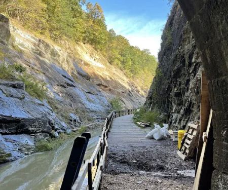 Paw Paw Tunnel Campground