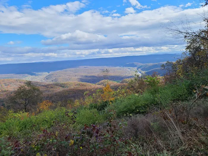 Group Campsite G-7 Picture 5