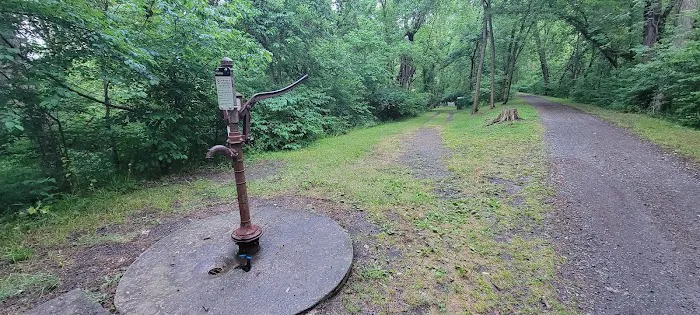 Purslane Run Campsite Picture 1