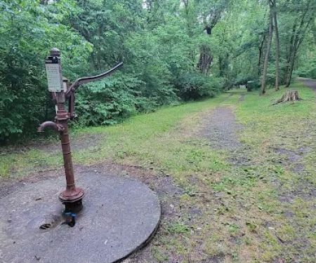 Purslane Run Campsite