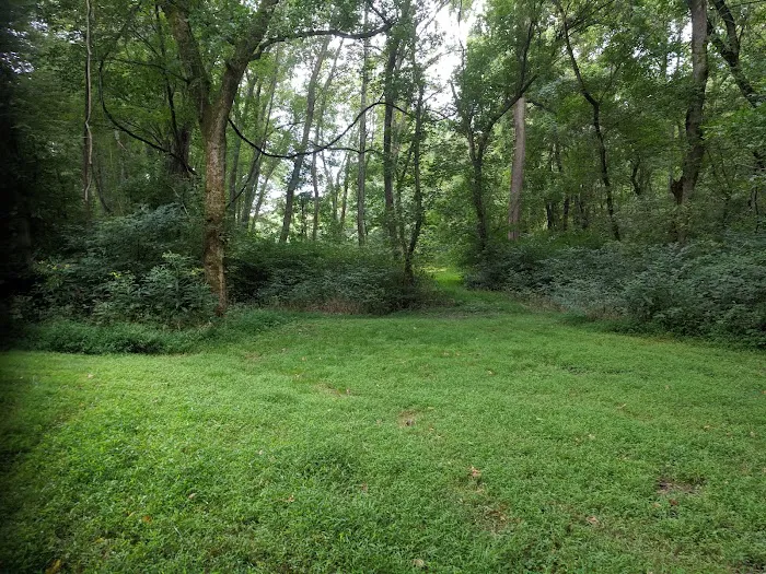 Purslane Run Campsite Picture 5