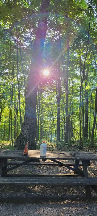 Forbes Motorized Campsite #5 Picture 7