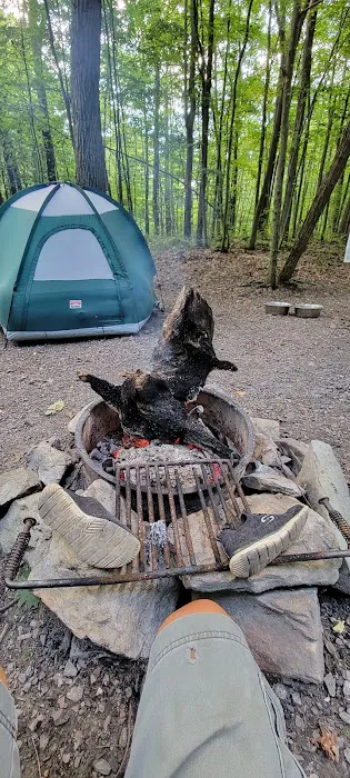 Forbes Motorized Campsite #5 Picture 3