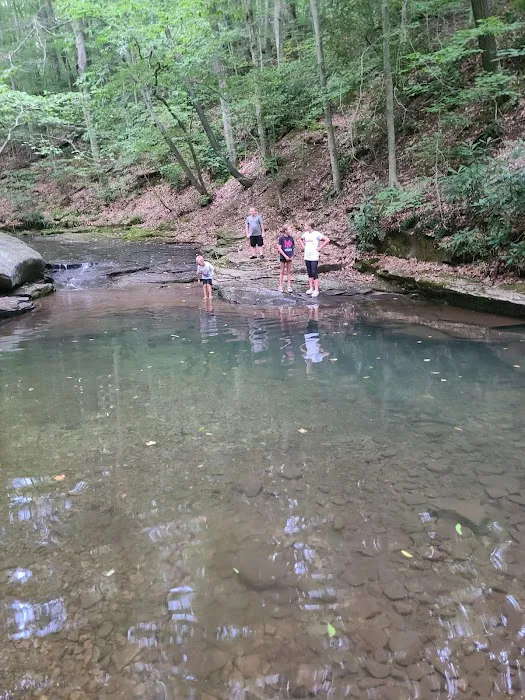 Forbes Motorized Campsite #5 Picture 1