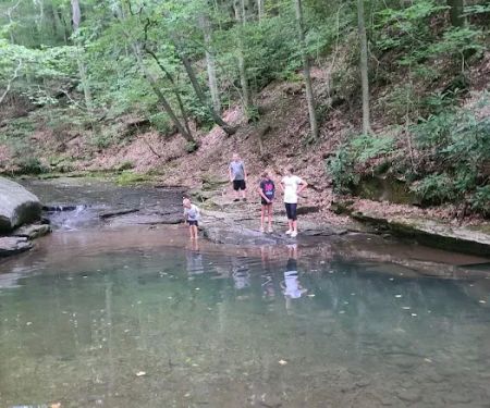 Forbes Motorized Campsite #5