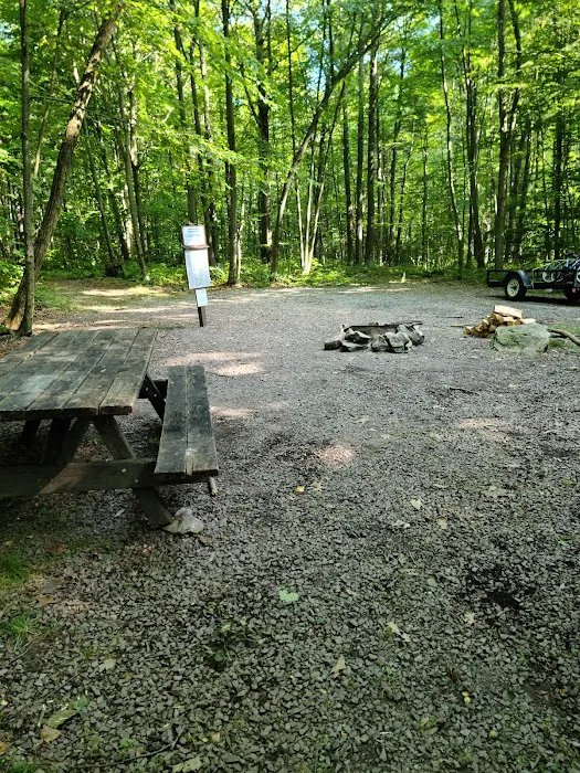 Forbes Motorized Campsite #5 Picture 6