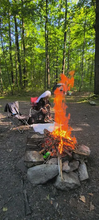 Forbes Motorized Campsite #5 Picture 2