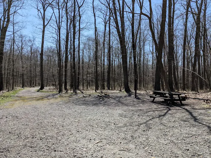 Forbes Motorized Campsite #5 Picture 10