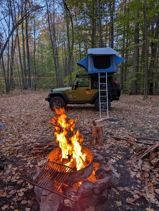 Forbes Motorized Campsite #5 Picture 5