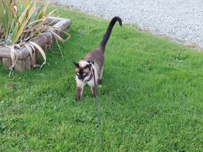 Allegheny I-80 Campground Picture 9