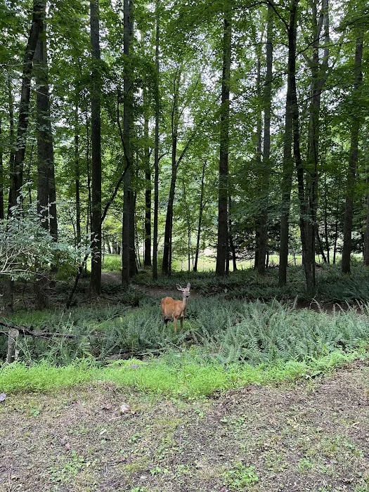 All Saints Camp Picture 1