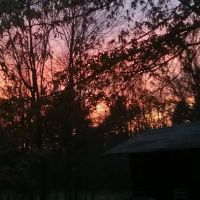 YMCA Camp Coffman ico