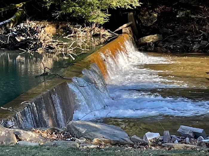 YMCA Camp Coffman Picture 6