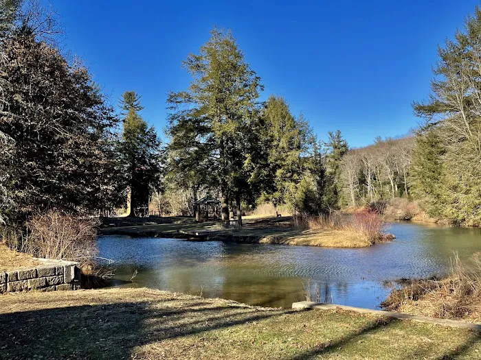 YMCA Camp Coffman Picture 5