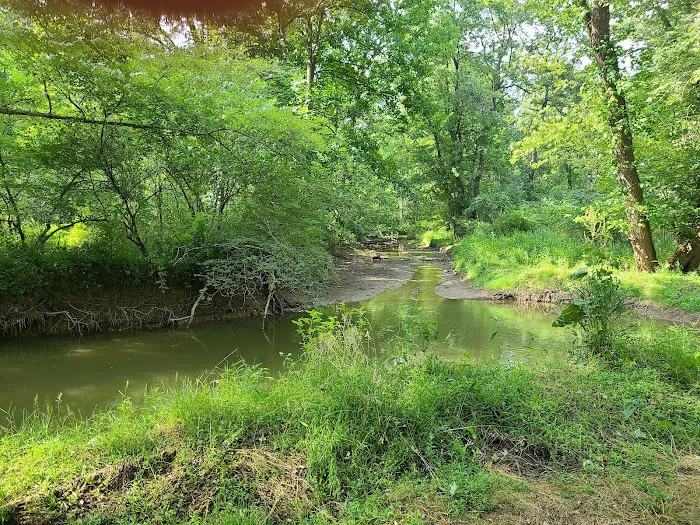 Camp Davis Campground Picture 8