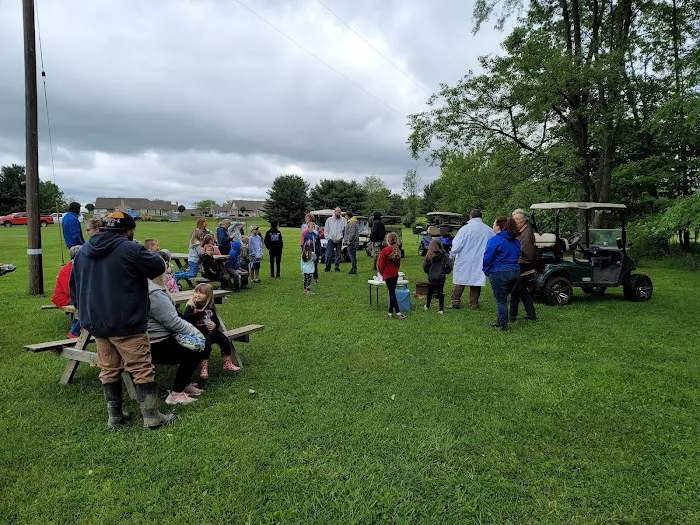 Buttercup Woodlands Campground Picture 4