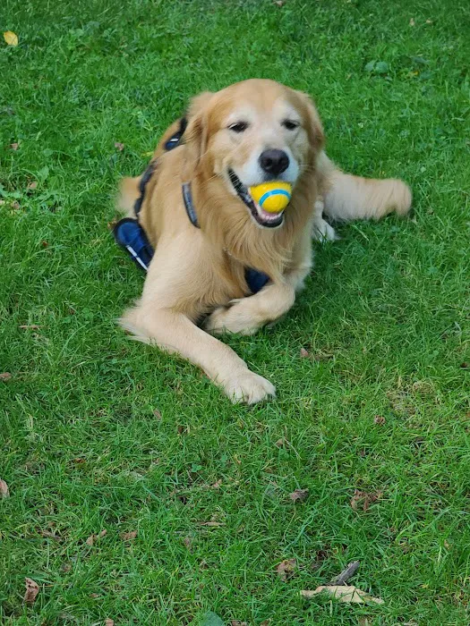 Queen Aliquippa Camp Picture 7