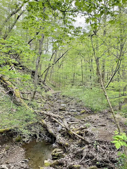 RoundBottom hiker-biker Campground Picture 8