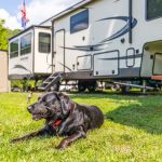 The Blue Canoe RV Resort