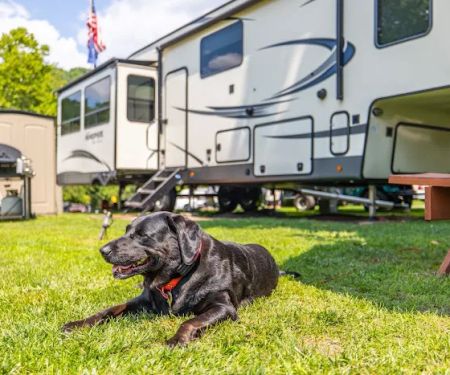 The Blue Canoe RV Resort